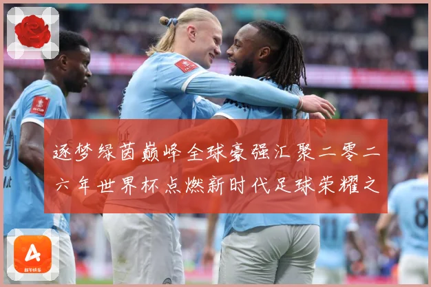 逐梦绿茵巅峰全球豪强汇聚二零二六年世界杯点燃新时代足球荣耀之数据研判-深度解析