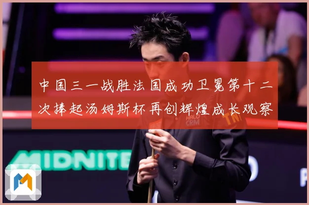 中国三一战胜法国成功卫冕第十二次捧起汤姆斯杯再创辉煌成长观察-深度解析